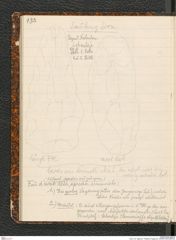 Seite 136, Tagebuch "Palästina (Tagebuch)" (NHMW-PRAE-BBB-80)